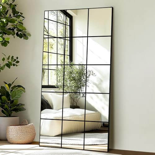 Delma Window Pane Full Length Mirror 28x55 Large Window Wall Mirror Black