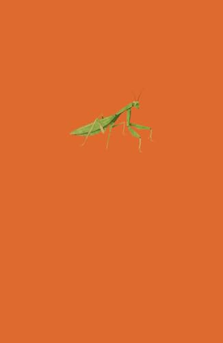 Praying Mantis: A5, 5.83 x 8.27, 192 Pages, Lined, Writing Journal
