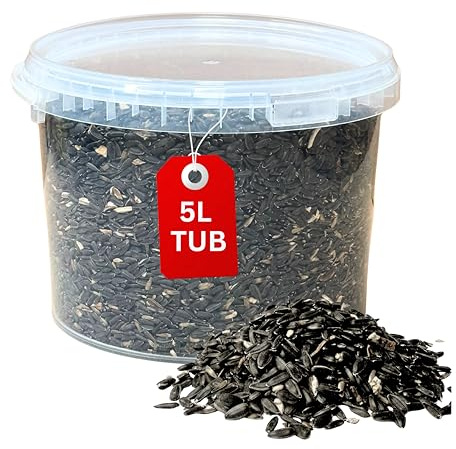 Beewarm 5L Tub Black Sunflower Seeds, Sunflower Seeds Birds, Black Sunflower Seeds for Birds, Sunflower Seeds Bird Food, Sunflower Seed