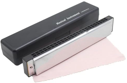Professionelle 24-Loch-Tonart C Und D, Doppelseitige Mundharmonika, Silberne Tremolo-Mundharmonika, Spielinstrumente Für Anfänger(D key)