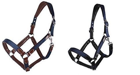 ARBO-INOX Halfter Nylon QHP mit Lederunterlegung Edelstahlschnallung blau-schwarz oder blau-braun Größe Full Warmblut, Farbe braun
