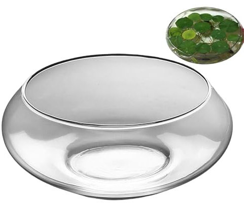 per pesci in – 25 x 10 cm di larghezza, vaso per piante idrocroponiche decorativo rotondo | per bonsai per piante grasse, matrimoni, centrotavola per la casa, il