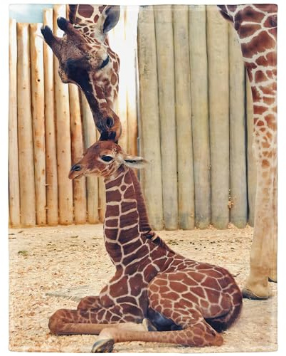 YISUMEI - 150 x 200 cm Decke - Giraffe Fleecedecke,Kaschmir-Gefühl Kuscheldecke Geeignet für Bett oder Sofa