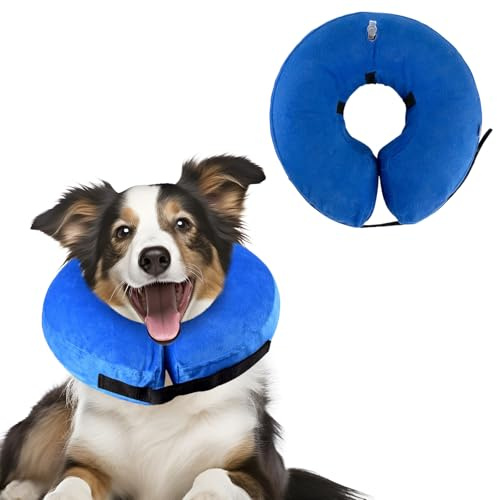XIMEY Halskrause Hund, Halskrausen Hunde, Aufblasbare Halskrause Hund, den Postoperativen Schutz von Kopf, Brust und Bauch (Blau, L)