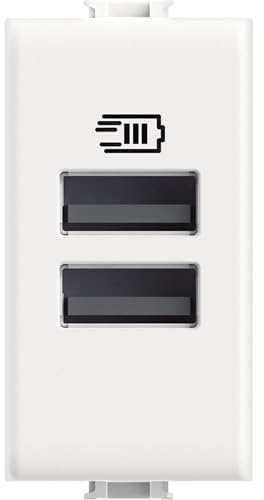 Bticino AM4191AA Caricatore USB con due ingressi di tipo A, da installare nella placca Matix, per ricaricare un dispositivo elettronico fino a 15W o due dispositivi in simultanea, 1 posto, bianco