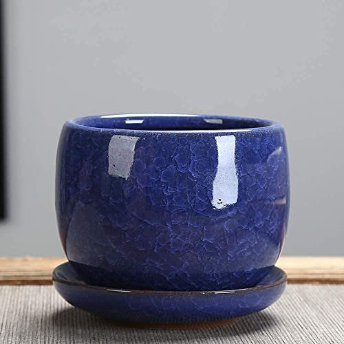 Jelly Purple Sand Succulent Flower Green Plant Planter Ice Cracked Glazed Ceramic Flower Pot Indoor Outdoor Planters Home And Office Decor Ceramic Succulent Plants Pot beautiful scenery