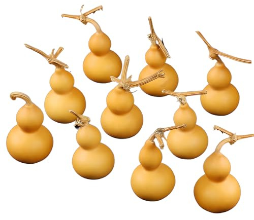 10 Pcs Mini Gourd Natural Dry Gourd Cute s Crafts Ornaments Hu Lu Desktop Decor Chinese Pendant DIY Crafts Home Office Photography Props