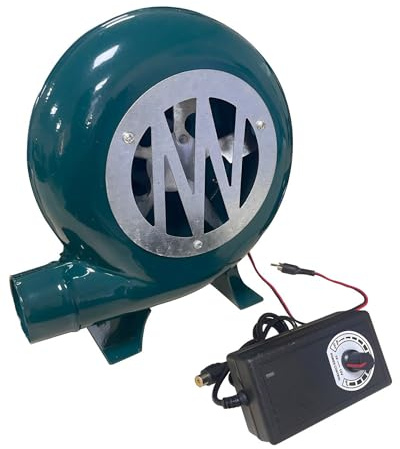 220V Soffiatore Elettrico Con Regolatore (1V-12V) Soffiatore Per Camino 20W/30W/40W/60W/80W/100W Portatile A Velocità Variabile Soffiatore Elettrico Per Campeggio All'aperto Picnic Attività(60W)