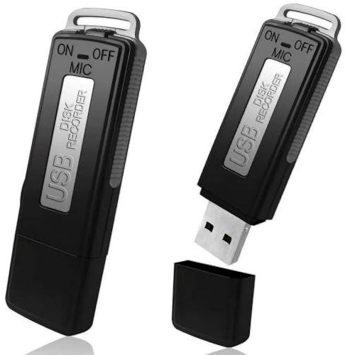 Registratore Vocale, Mini Registratore Vocale HD Portatile 8 GB, Dittafono Audio Per Riunioni, Interviste, Conferenze, Registratore Vocale Pendrive USB 2 in 1 Con Memoria Per 32 Ore Di Registrazione