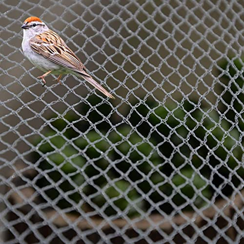 Ccsh Vogelschutznetz Hochleistungsgartenvogelfiletarbeit, Berufsbauernhof-Obstbaum-Büsche-Pflanzennetz, 3 5 7 10 15 20 25 30 35 40 M Breites Spaliernetz für Geflügel (Size : 3x5m/10x16ft)