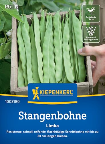 Kiepenkerl Stangenbohnensamen Limka 1003180, Gemüsesaat | Gemüsesamen für resistente Schnittbohnen mit bis zu 24 cm langen Hülsen, Wuchshöhe 200-300 cm, aromatisch