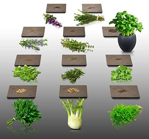 Lot de 1100 graines Aromatiques à semer - Le Grenier d'Abondance - HERBES DE PROVENCE - 11 sachets individuels