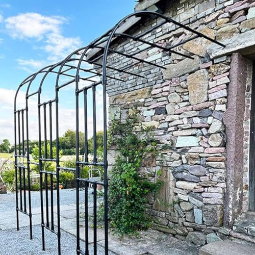 MISKYN Arche De Jardin Demi Rond, Demi-Arche en Métal, Arceau Jardin Arche A Rosiers De Style Fer Forgé, Tonnelle De Jardin Robuste, pour Plantes Grimpante,Noir,180 * 240cm