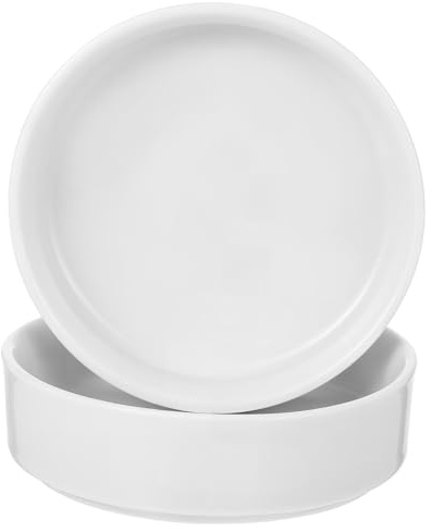 DIYEAH 2 Pezzi Sottovaso in Ceramica Rotondo per Piante da Interno ed Esterno da Vassoio per Vasi con Drenaggio Base Stabile e Finitura Liscia per Protezione Superfici
