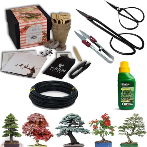 Apprentice Bonsai Tree Starter Kit Bundle | Grow Your Own Bonsai Tree | All-in-One Grow Kit | Choose from 5 Species (Japanese Quince)