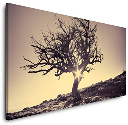 Baum im Winter 120x 60cm Panorama Leinwand Bild XXL Format Wandbilder Wohnzimmer Wohnung Deko Kunstdrucke
