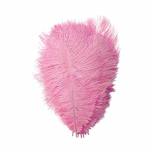 Dinglong Soft Cake Piuma 23 cm o Più Accessori per palcoscenico Piume di Colore Murale Bouquet Garni (PK1, One Size)