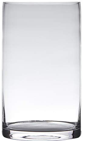 Dekoglas, Vase Zylinder H. 25cm D. 15cm transparent rund Glas Hakbijl