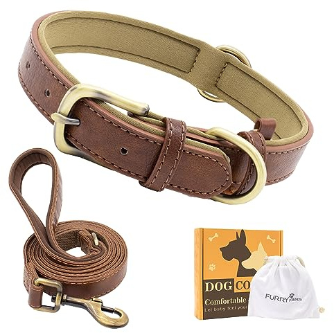 Furry Friends Hundehalsband Leder mit Leine, Gepolstert lederhalsband und Leine Set, Robust, Hundehalsband für den mittleren und kleinen Hund(S- 28-36cm, Braun)