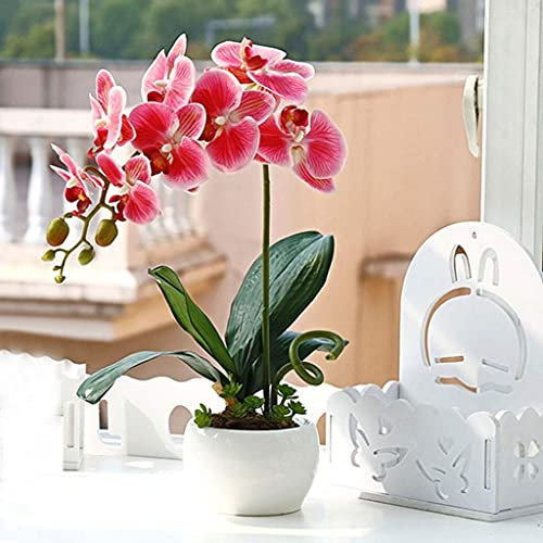 SaVgu Kunstblumen Künstliches Blumen-Set, künstliche Bonsai-PU-Orchideen, Phalaenopsis mit Keramikvase for Zuhause, Büro, Tischdekoration, Gelb, schöne künstliche Blumen und Vasen (Farbe: W