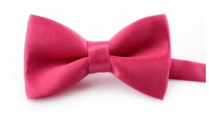 Pajaritas pequeñas para niños, pajaritas, regalo de fiesta, corbatas de mariposa, accesorios para hombre, fucsia, Fabric