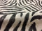 PIEL DE CEBRA. Mezcla de algodón de lino de tela con estampado animal - Cortinas, Decoración del hogar, Confección, Tapicería - 140 cm de ancho (se vende por metro) Rayas negras y crema