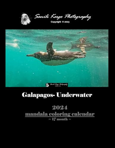 Galapagos- Underwater: Sanili Kergo Photography, 2024 Calendar