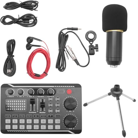 Ounfhtrttk Kit Scheda Audio Portatile Set Microfono per PC Accessori Set Microfono A Condensatore Scheda Audio Live Set F998 BM800