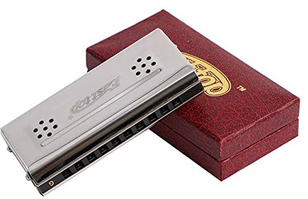 Selected Reeds 10Holes Double-sided Double-tone Harmonica, Advanced C-tone G-tone Polyphonic Harmonica for Beginners, Adults and Students with Wooden Box (10 holes)