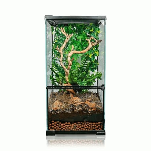 Swell Reptiles Glass Paludarium 30cm x 30cm x 60cm Reptile Tank for Geckos and Lizards