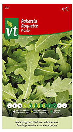 Semillas de rúcula Pronto - Fácil de cultivar