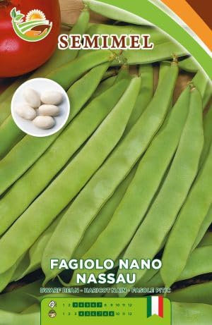 Fagiolo Nano Nassau - Semi di Fagiolo Mangiatutto, Baccello Piatto Verde, Raccolta Precoce, 500g 1 confezione