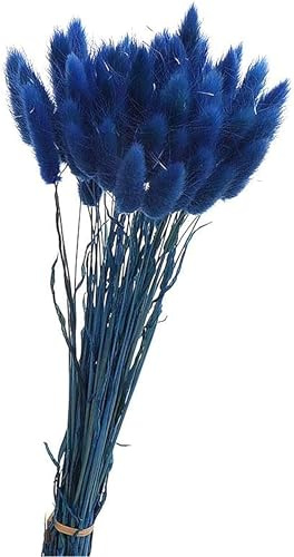 50PCS Pampasgras Trockenblumen, 45 cm Natürliche Lagurus Getrocknet Blumen Getrocknetes Schilfgras Getrocknetes Pampasgras für Hochzeit Hause Party Wedding Büro Fotografie Vase Deko (Saphirblau)
