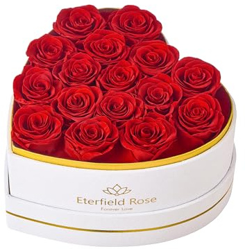 Eterfield 16 Forever Flowers in Heart Shape Box, Preserved Roses That Last a Year Preserved Flowers Birthday Gifts for Her Mom Women Wife Anniversary Valentines Day Mothers Day Christmas, Red