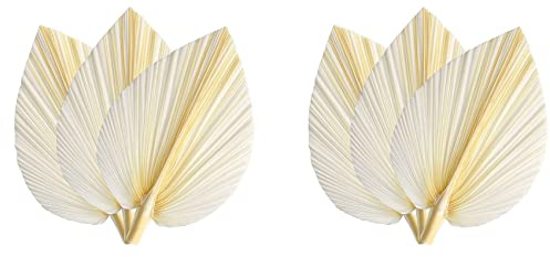 Uikdjgu Hojas de Palma Secas Blancas Grandes 6 Piezas Elegante Y Moderno Boho Decoración para El Hogar Y La Boda - Arte de La Pared