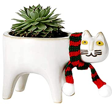 LNJ Katze Blumentopf - Keramik Sukkulenten Töpfe Kleine Cartoon Übertöpfe Tierform Saftige Topf Kaktus Pflanzentöpfe Katzenform Container Mit Schal Desktop Dekoration (Weiß)