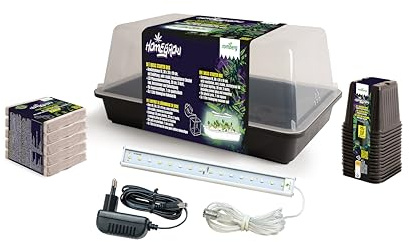Romberg Homegrow BASIC STARTER BOX - Zimmergewächshaus Starter Set mit LED Pflanzenbeleuchtung (5 W), Mini Gewächshaus für Homegrowing & Pflanzenanzucht indoor, inkl. Substrat & Töpfe, 38 × 24 × 19 cm