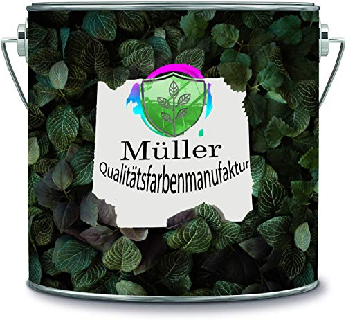 Müller Qualitätsfarbenmanufaktur Bodenfarbe Epoxidharz Bodenbeschichtung Innen Fliesenlack Betonfarbe Industrieboden Garagenfarbe Kellerfarbe Wohnraum Gießharz Epoxy (15, Anthrazitgrau RAL 7016)