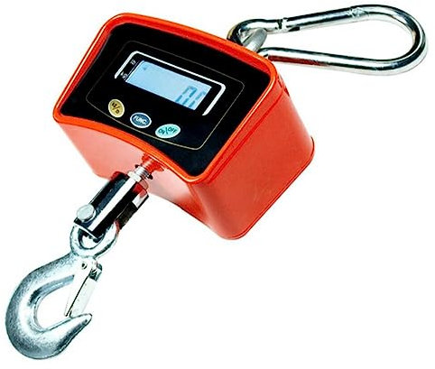 A.M.C. BILANCIA Dinamometro DA GRU 1000 KG CON GANCIO INDUSTRIALE a sospensione, Acciaio inossidabile