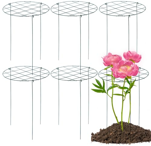 TIyneayle 6 Pack Peony Cages and Supports 16 x 24 Inch Grow Through Plant Support Peony Support Ring for Outdoor Plants