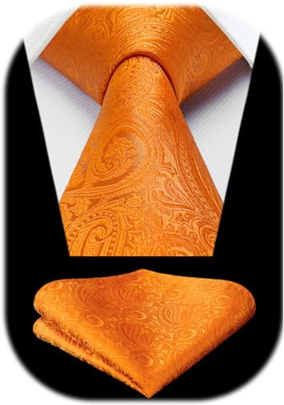 HISDERN Herren Paisley Krawatte Formale LäSsig Floral Krawatten Einstecktuch Hochzeit Partei Beerdigung Krawatte Sets FüR Herren