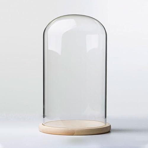 TIHONORI Pantalla de cúpula de Campana de Vidrio de 9 cm de diámetro con Base de Madera Maciza para exhibir Plantas, Adornos, figuritas,9 * 18cm