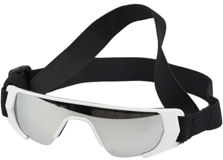 Winddichte Sonnenbrille für Haustiere, Hunde, Augenschutz, Schutz für Outdoor-Augenschutz, Sportzubehör, kleine Hunde