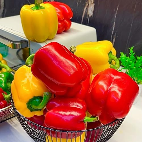 semi di peperone vecchie varietà - biologici invernali giardino 150pcs