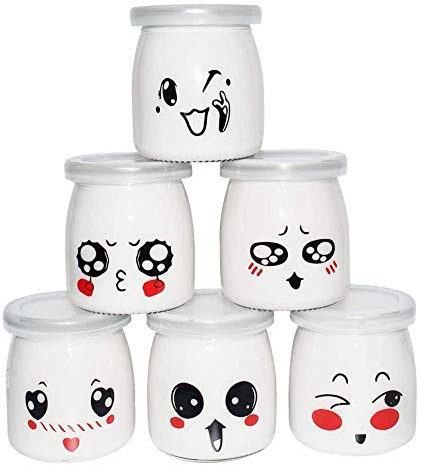 FFan 6 tarros de yogur de cristal con tapas herméticas 200 ml/136 gr para yogurt multicocina Thermomix SEB, Cookéo