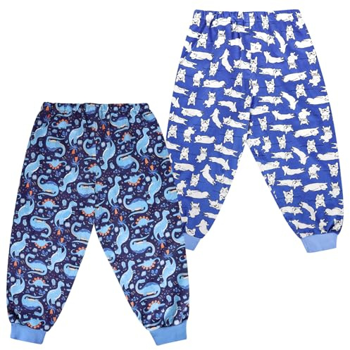 FLYISH DIRECT Pantalon d'apprentissage Propreté, 2 Paires de Couches-culottes Absorbantes, Culotte Apprentissage Garçons, Culotte Enfant Apprentissage en Coton Réutilisable, 2-3 Ans, Dino & Chien, S