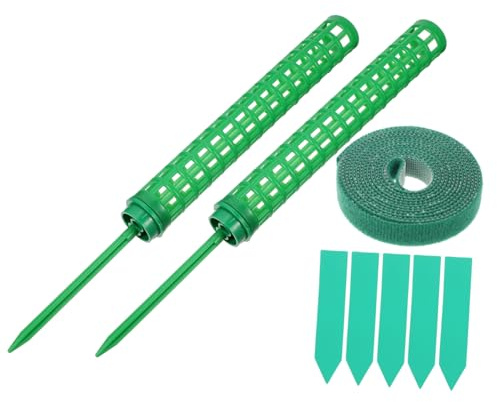 Gatuida Supporto per Piante Rampicanti da Interno Bastoncini di Muschio per Monstera e Fiori Rampicanti Struttura in Plastica per Arrampicamento Facile da Usare