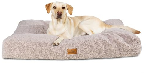 FREUDENTIER Orthopädisches Hundekissen Teddy - Waschbar - 80x70cm, Greige | Gelenkschonendes Hundebett mit Memory-Foam - Rutschfestes Kissen für kleine, mittelgroße & große Hunde
