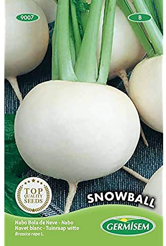 Germisem Snowball Semillas de Remolacha 20 g, EC9007