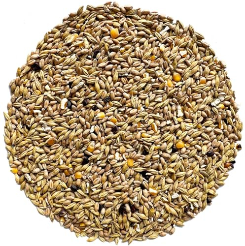 Samore 25 kg Hühnerfutter Nagerfutter, Kaninchenfutter Weizenkörner Getreide natürlich Gentechnik frei